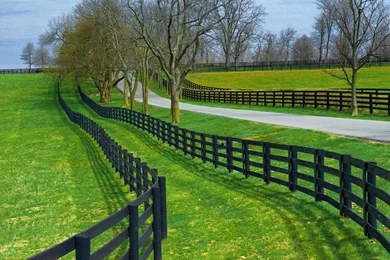 Horse Farm, Near Lexington, Kentucky   Hqworld.net   High Quality ...