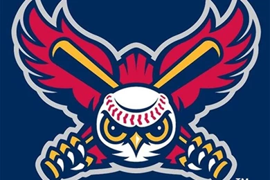 Utah Baseball Team Cancels 'Caucasian Heritage Night'   NY Daily News