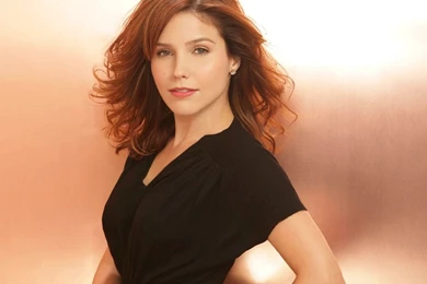 Sophia Bush Wallpapers