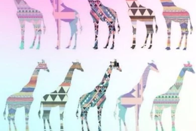 Giraffe Wallpapers
