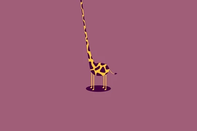 Funny Giraffe Wallpapers desktop backgrounds.jpeg