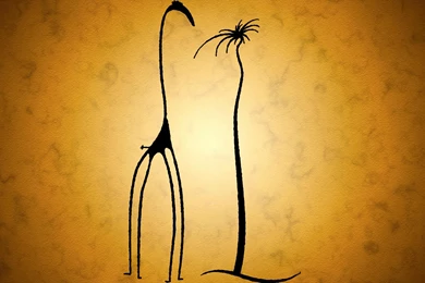 Giraffe Backgrounds Wallpapers » WallDevil Best Free HD Desktop ...