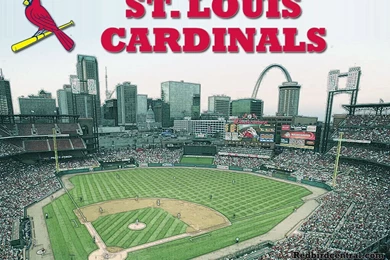 RedbirdCentral.com   St. Louis Cardinals Desktop Wallpapers