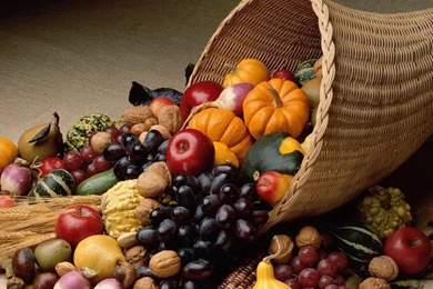 Free Wallpapers Screen Savers: Free Thanksgiving Backgrounds