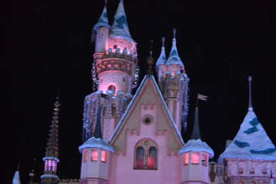 Amusement Parks Cinderella Castle Photography Disneyland Pretty ...