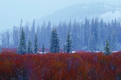 Free Wallpapers   Free Nature Wallpapers   Dual Screen Jokul ...