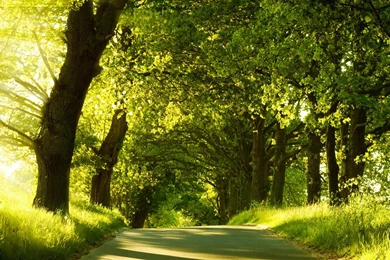 Dual Screen Nature Wallpapers