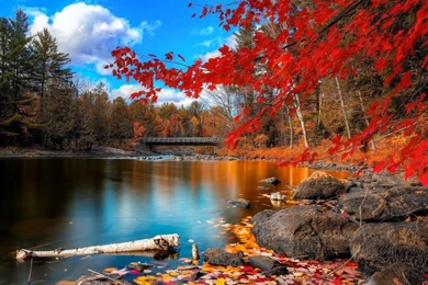 Desktop Wallpapers Hd 3d Full Screen Nature