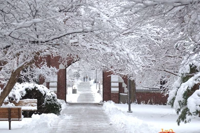 Iowa State Wallpapers