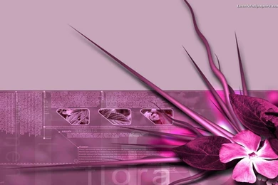 Wallpaper, Grunge, Pink, Guitar, Custom, Art, Delade (