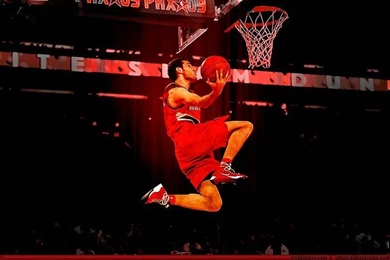 NBA: 2008 09 Portland Trail Blazers Wallpapers   Wallcoo.net