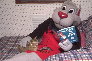 Portland Trail Blazers Mascot Wallpapers   Portland Trail Blazers ...