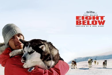 Red Riding Hood (2011) Full Movie   Video Dailymotion