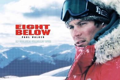 Paul Walker   Paul Walker In Eight Below Wallpapers 1 800x600