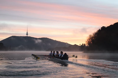 Eight Below : Desktop And Mobile Wallpapers : Wallippo