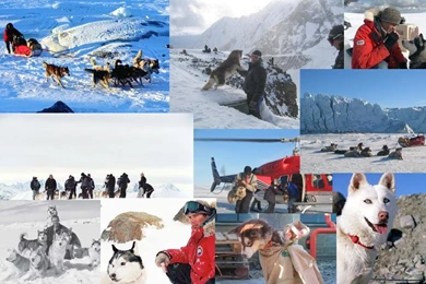 DeviantArt: More Like Eight Below Behind The Scenes By ...