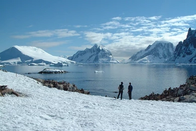 New Antarctica Film By Disney   'Eight Below'   Polar Blog
