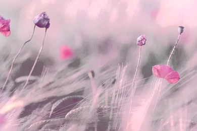 3 HOURS Best Relaxing Music 'Romantic Piano" Backgrounds Music For ...