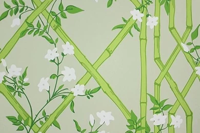 Jasmine Lattice Green Wallpapers