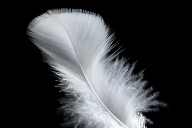 World Of Technology...!!!: Stock Wallpapers Of ZTE Nubia My Prague