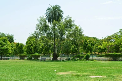 Sanjay Photo World: Garden Backgrounds For Photoshop