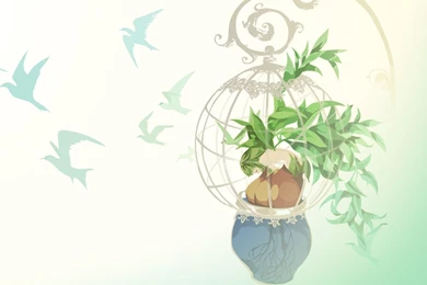 Studio Backgrounds Wallpapers   204197