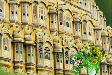 Sanjay Photo World: Studio Backgrounds