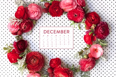 Happy December! Desktop & iPhone Wallpapers!