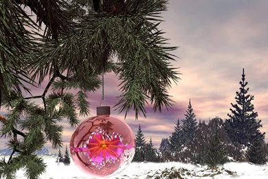 December Foretold   Computer Art Photography Desktop Wallpapers