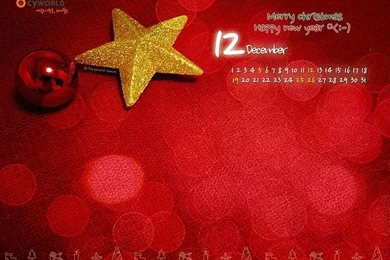 Christmas Decoration   December 2010 Calendar Wallpapers 25 ...