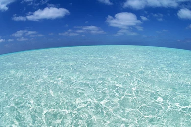 Sea Wallpapers City Roslindale