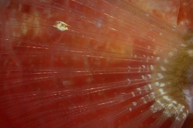 Sea Wallpapers City Roslindale