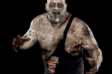 WWE Zombies:The Big Show   JeriShow Wallpapers (8817973)   Fanpop