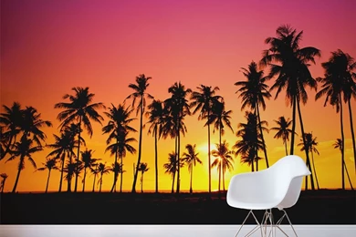 PalmTreeSunset Mural.jpg