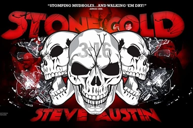 Free Download WWE Full HD Wallpapers 2013 (1920x1200)