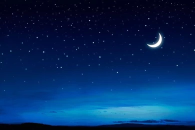 Branding Printing Graphic & Website Design Christchurch New Zealand