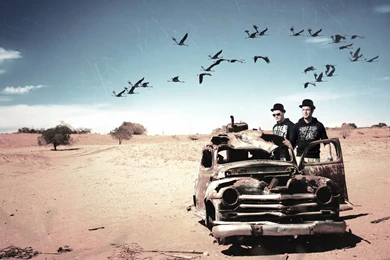 Simple Full Screen Backgrounds Image Wordpress Plugin   Tarangire ...