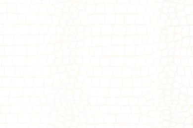 Modern White Wallpapers