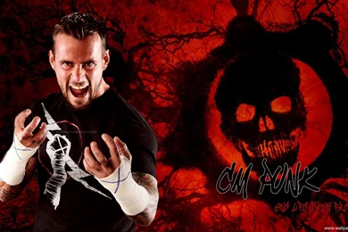 Punk Wallpapers   WWE Photo (31689027)   Fanpop