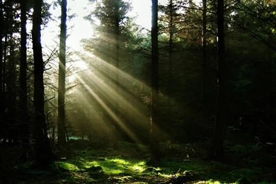 Beautiful Sunrays Wallpapers [Wallpapers Wednesday]   Hongkiat