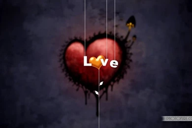 Love Wallpapers Free Download