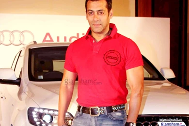 Download Salman Khan Wallpapers Photo   Wallpapes HD