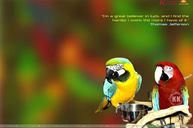 Fact Quotation Wallpapers, Quote Walls, Quote Computer Backgrounds ...