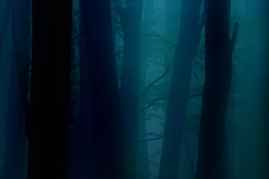 Android Wallpapers   Android L, Galaxy S5, HTC One M8, Google ...