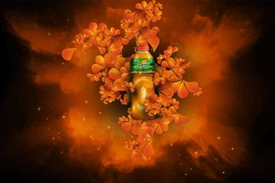 Gatorade   Gustavoterra