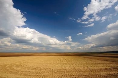 Field Serbia... Wallpapers