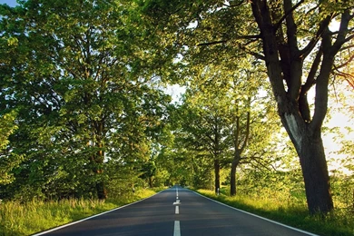 Long Road iPad Wallpapers Download