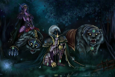 6 Night Elf HD Wallpapers