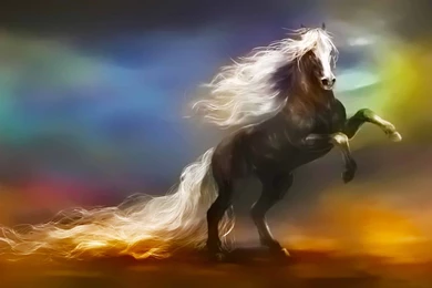 Horse Wallpapers   Horse Long Tail Beauty Wallpapers   HD ...