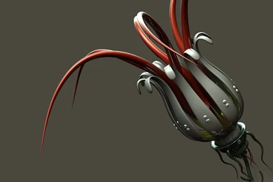 Unique Animals Blog: Nature Flowers Wallpapers, Wallpapers Of ...